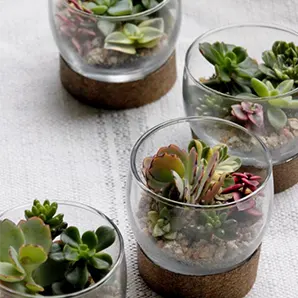 Terrarium Ball Workshop - DIY Workshop - Traditional Arts Workshop - Craft-Workshops - Handicraft - Virtual Workshop - Event Services Singapore